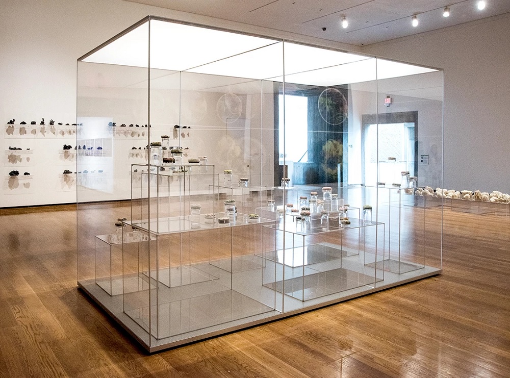 Top Benefits Of The Acrylic Display Case