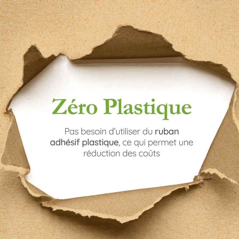 Wingbox: Unleashing the Green Revolution in Packaging Excellence