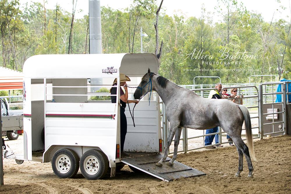 Exploring the Convenience and Comfort of Horse Float Campers