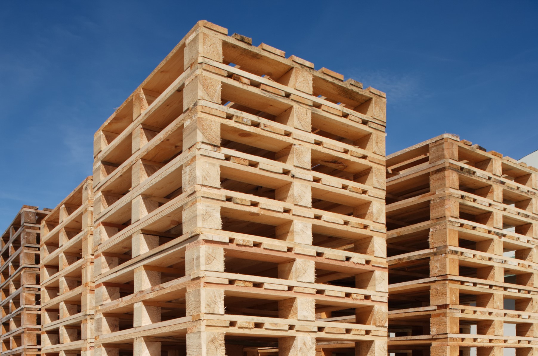 Quality Pallets in Southampton: Solutions for Your Shipping Needs